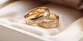 Two gold wedding rings Royalty Free Stock Photo