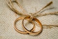 Two gold wedding rings Royalty Free Stock Photo