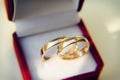 Two gold wedding rings in red box, close-up. Rings for bride and groom, selective focus Royalty Free Stock Photo