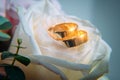 Two gold wedding rings on white rose bud, close-up. Classic rings for bride and groom, selective focus. Wedding and family concept Royalty Free Stock Photo