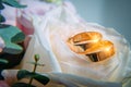 Two gold wedding rings on white rose bud, close-up. Classic rings for bride and groom, selective focus. Wedding and family concept Royalty Free Stock Photo