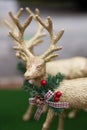 Golden deer christmas decoration Royalty Free Stock Photo