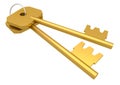 Two golden key isolated on transparent png background. Enter concept Royalty Free Stock Photo