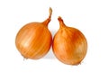 Two golden onions isolated on a white background. Healthy lifestyle concept Royalty Free Stock Photo