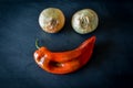 Two golden onions and one red sweet pointed pepper on a blackboard making an happy face Royalty Free Stock Photo