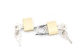 Two golden padlocks and keys on white Royalty Free Stock Photo