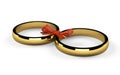 Two golden rings Royalty Free Stock Photo
