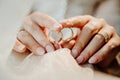 Two golden rings in the hands of the bride that lie on a wedding white veil with a blurred background Royalty Free Stock Photo