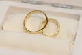 Two golden wedding rings. Close-up view of white golden wedding rings in a box Royalty Free Stock Photo