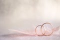 Two Golden Wedding Rings and Feather - gentle background Royalty Free Stock Photo