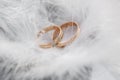 Two Golden Wedding Rings and Feathers - gentle soft background for marriage Royalty Free Stock Photo