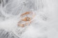 Two Golden Wedding Rings and Feathers - gentle soft background for marriage Royalty Free Stock Photo