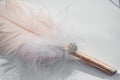 Two Golden Wedding Rings and Feathers - gentle soft background for marriage Royalty Free Stock Photo