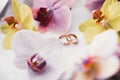 Two golden wedding rings isolated background concept Royalty Free Stock Photo