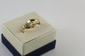 Two golden wedding rings lie into box Royalty Free Stock Photo