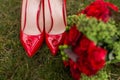 Two golden wedding rings lie on red fashion female shoes on green grass. Wedding