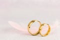 Two Golden Wedding Rings and Light Angel Feather Royalty Free Stock Photo