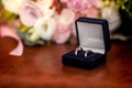 Two golden wedding rings in a orange box Royalty Free Stock Photo