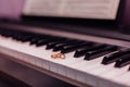 Two golden wedding rings on piano keys Royalty Free Stock Photo