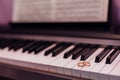 Two golden wedding rings on piano keys Royalty Free Stock Photo