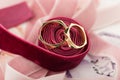 Two golden wedding rings on red velvet ribbon Royalty Free Stock Photo