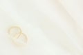 Two golden wedding rings under white wedding veil Royalty Free Stock Photo