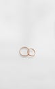 Two golden wedding rings on white background Royalty Free Stock Photo