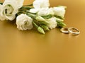 Two golden wedding rings with white flowers on a gold background stock images Royalty Free Stock Photo