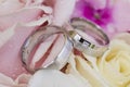 Two golden wedding rings white gold laying in the Bridal Bouquet on beautiful pink rose flower background. Royalty Free Stock Photo