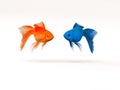 Two goldfish differently.