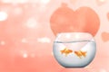 Two goldfish in the fishbowl with heart symbol on a pink background