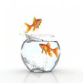 Two goldfish jumping out of water from fishbowl