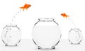 Two goldfish jumping to bigger fishbowl Royalty Free Stock Photo