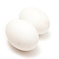 Two goose eggs. Royalty Free Stock Photo