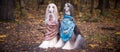 Two gorgeous Afghan hounds in beautiful shawls