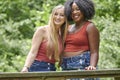 Two gorgeous friends pose for photo in park - summer Royalty Free Stock Photo