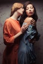 Two gorgeous girlfriends making love Royalty Free Stock Photo