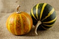 Two Gourds Still Life