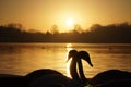 Two graceful swans are silhouetted against a stunning backdrop of a golden sunset.