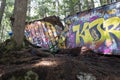 At the site of the Whistler train wreck two rail cars sit nestled in the forest