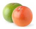 Two isolated grapefruits Royalty Free Stock Photo