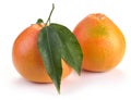 Two grapefruits