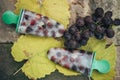 Two grapes ice cream on a tile