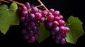 Intense Close-up Of Grapes On A Dark Background