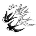 Two graphic flying swallows Royalty Free Stock Photo