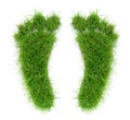 Two Grass Footprints Royalty Free Stock Photo