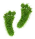 Two Grass Footprints on white Background Royalty Free Stock Photo