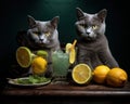 Two gray cats drinking cocktls with fruit.