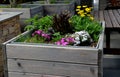 Two gray flower pots at the park seating on the terrace with an artificial plastic carpet reminiscent of a lawn. in a pot there ar Royalty Free Stock Photo