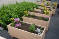 Two gray flower pots at the park seating on the terrace with an artificial plastic carpet reminiscent of a lawn. in a pot there ar Royalty Free Stock Photo